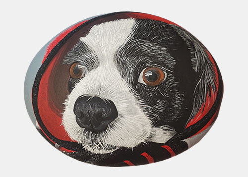 hand painted rock of a dog