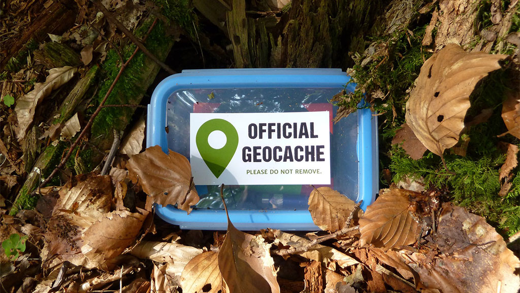 Official Geocache in leaves