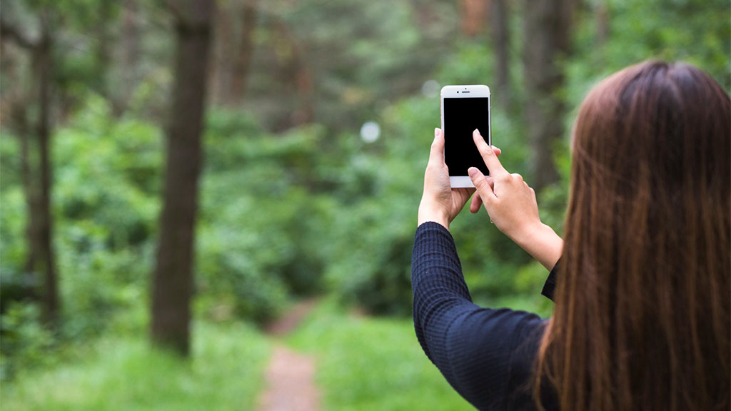 Woman holding up phone and looking towards a path in the woods. Image by Freepik